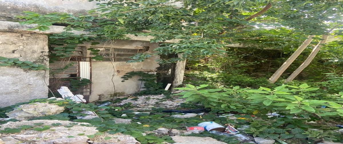 Foto de terreno habitacional en venta en  , merida centro, mérida, yucatán, 27680878 No. 04