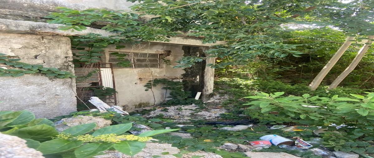 Foto de terreno habitacional en venta en  , merida centro, mérida, yucatán, 27680878 No. 05