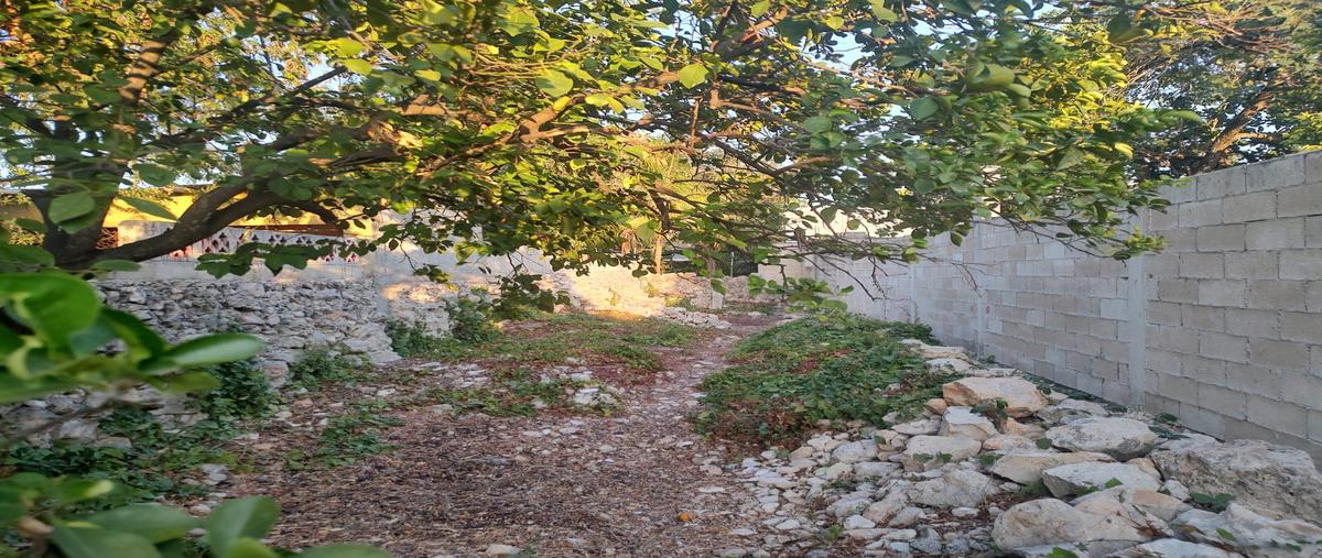 Foto de casa en venta en  , merida centro, mérida, yucatán, 0 No. 05