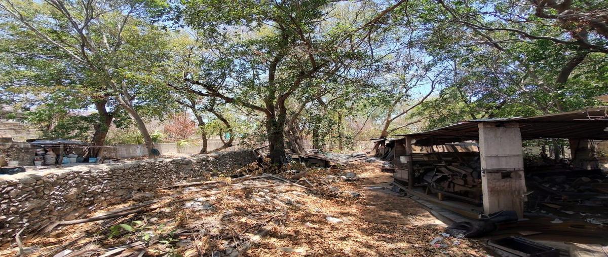 Foto de casa en venta en  , merida centro, mérida, yucatán, 0 No. 05