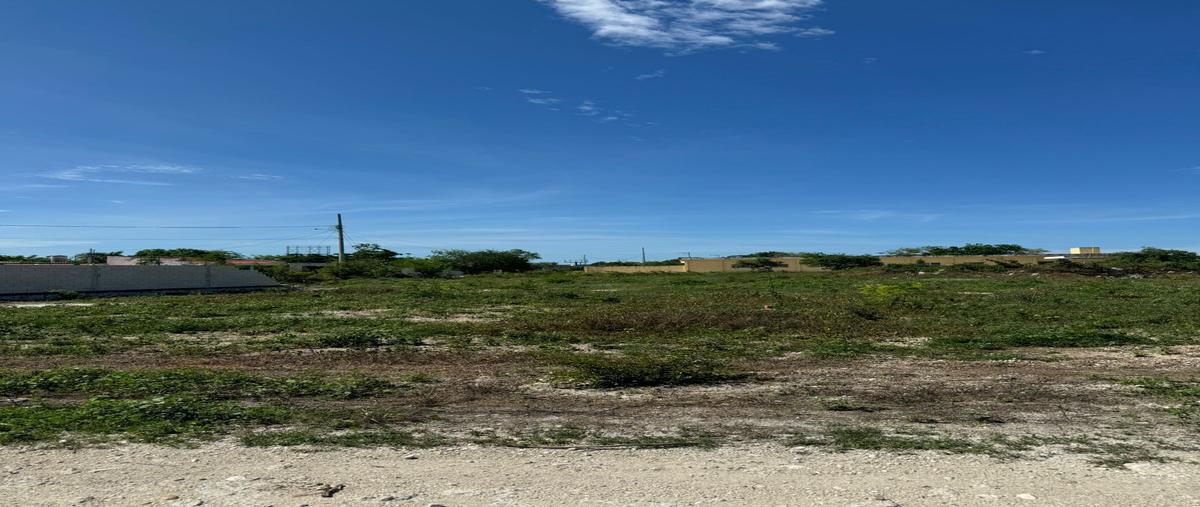 Foto de terreno habitacional en venta en  , merida centro, mérida, yucatán, 0 No. 04