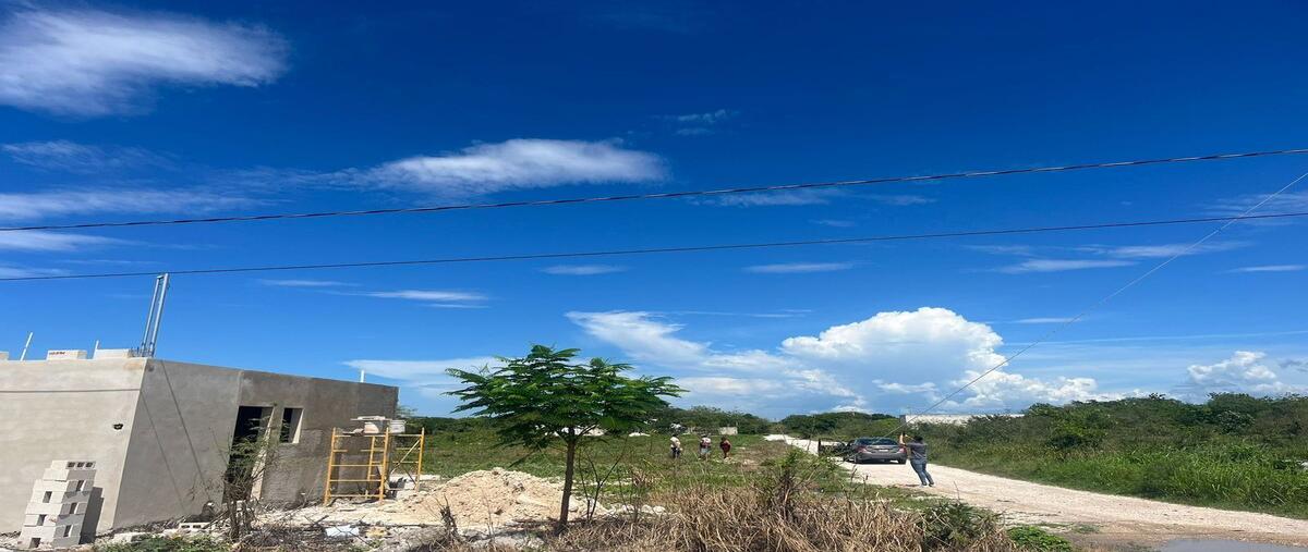Foto de terreno habitacional en venta en  , merida centro, mérida, yucatán, 0 No. 05