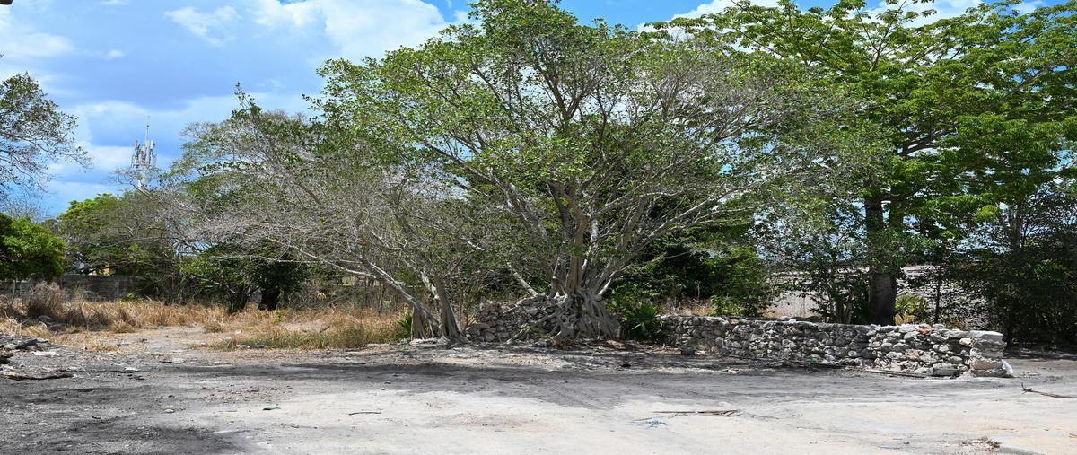 Foto de terreno habitacional en venta en  , merida centro, mérida, yucatán, 28713867 No. 05