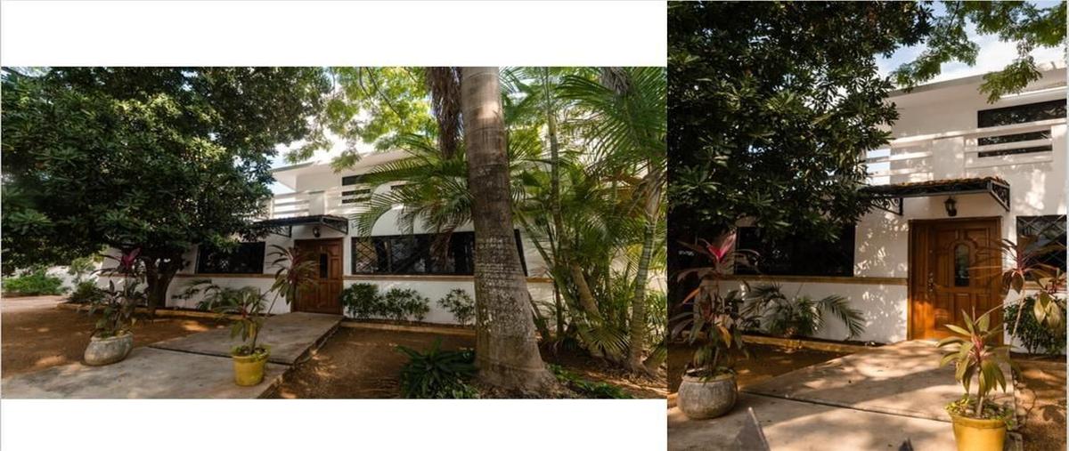 Foto de oficina en , merida centro, mérida, yucatán, 29004593 foto 01 Foto de oficina en renta en , merida centro, mérida, yucatán, 29004593 No. 01