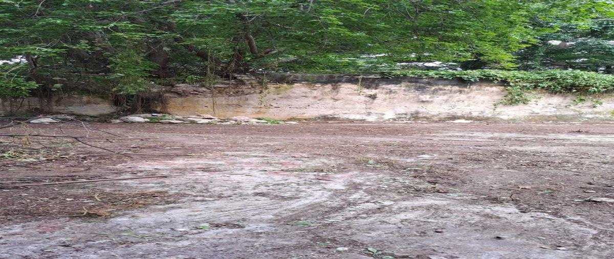 Foto de terreno habitacional en venta en  , merida centro, mérida, yucatán, 29047130 No. 03