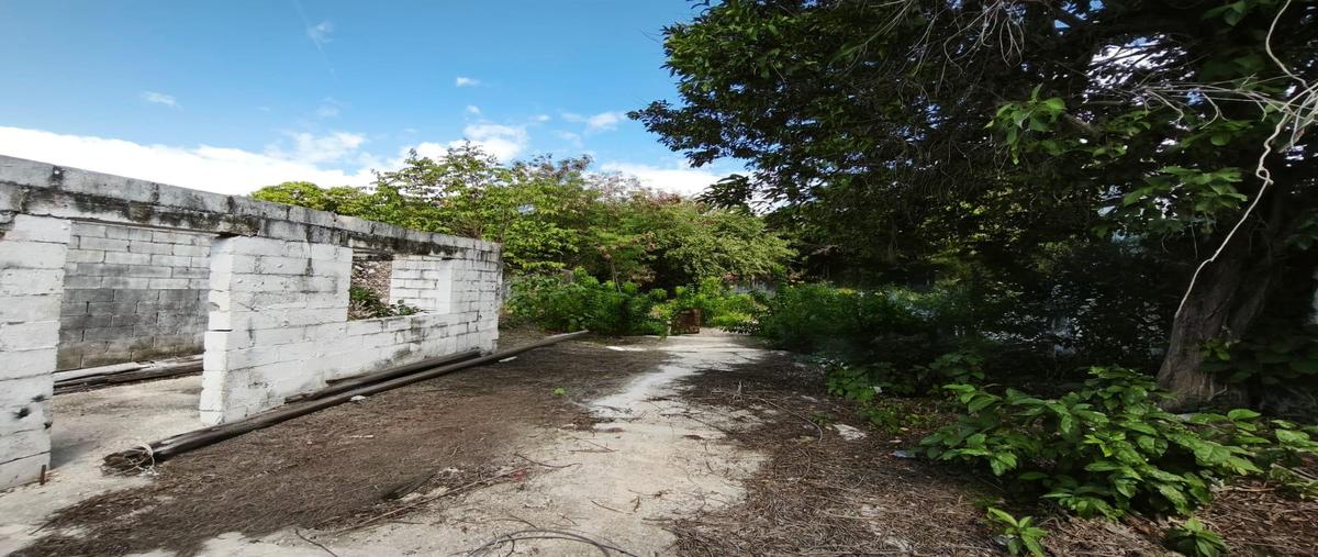 Foto de terreno habitacional en venta en  , merida centro, mérida, yucatán, 0 No. 03
