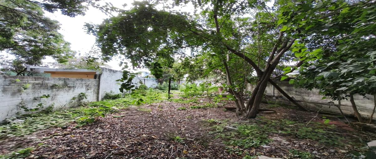 Foto de terreno habitacional en venta en  , merida centro, mérida, yucatán, 0 No. 05