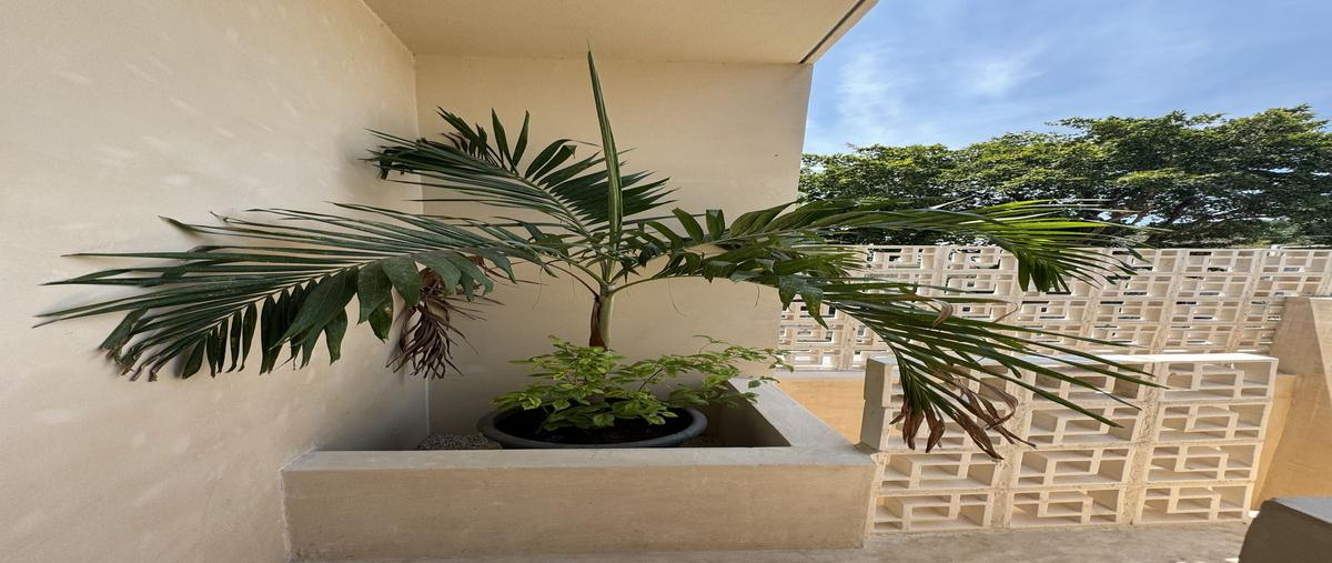 Foto de casa en . , merida centro, mérida, yucatán, 0 foto 02 Foto de casa en venta en . , merida centro, mérida, yucatán, 0 No. 02