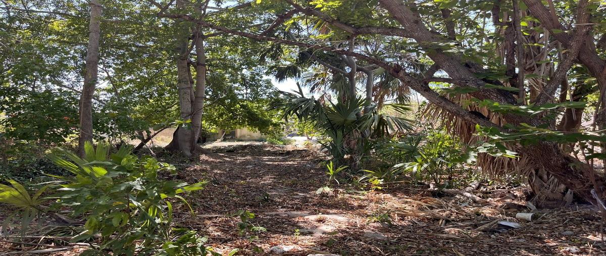 Foto de terreno habitacional en venta en  , merida centro, mérida, yucatán, 0 No. 05