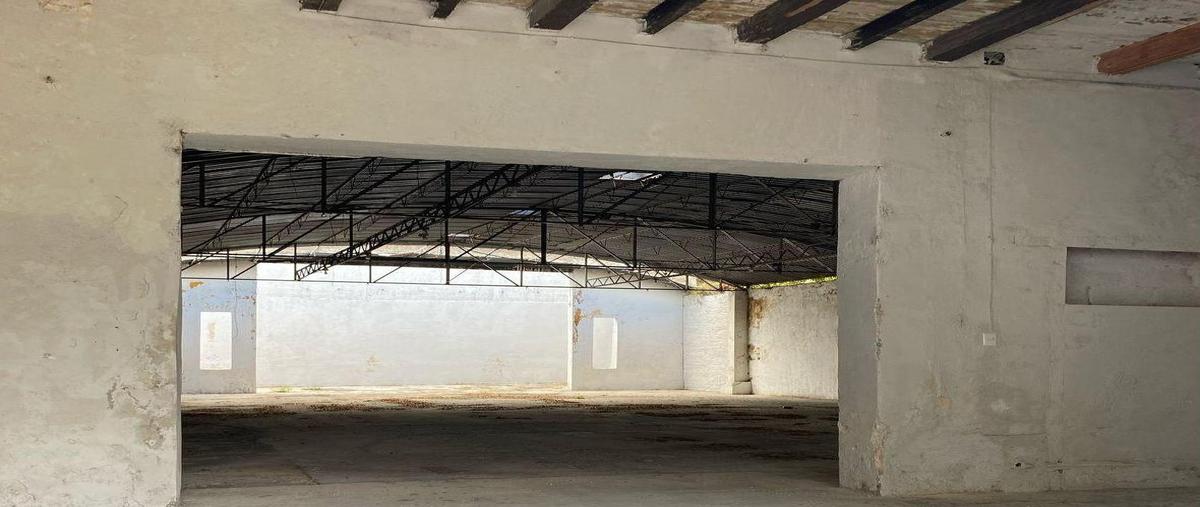 Foto de local en renta en  , merida centro, mérida, yucatán, 30263511 No. 04