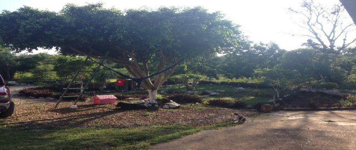 Foto de casa en venta en  , merida centro, mérida, yucatán, 30303196 No. 04