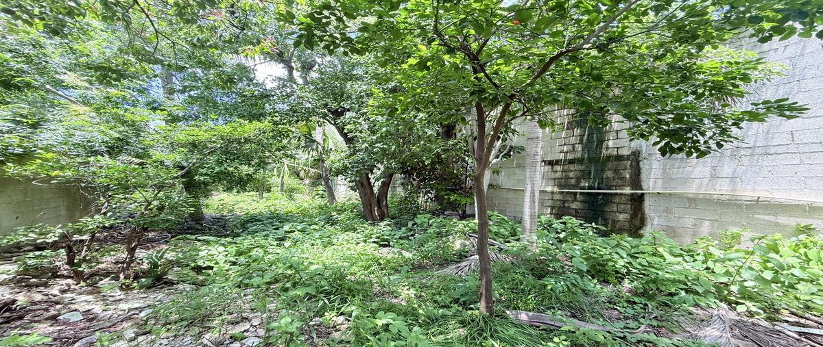 Foto de casa en venta en  , merida centro, mérida, yucatán, 0 No. 04