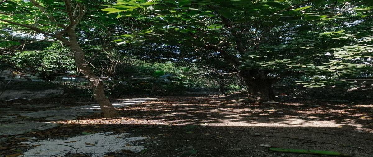 Foto de casa en venta en  , merida centro, mérida, yucatán, 0 No. 05