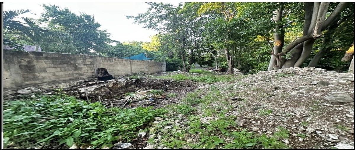 Foto de terreno habitacional en venta en  , merida centro, mérida, yucatán, 0 No. 05