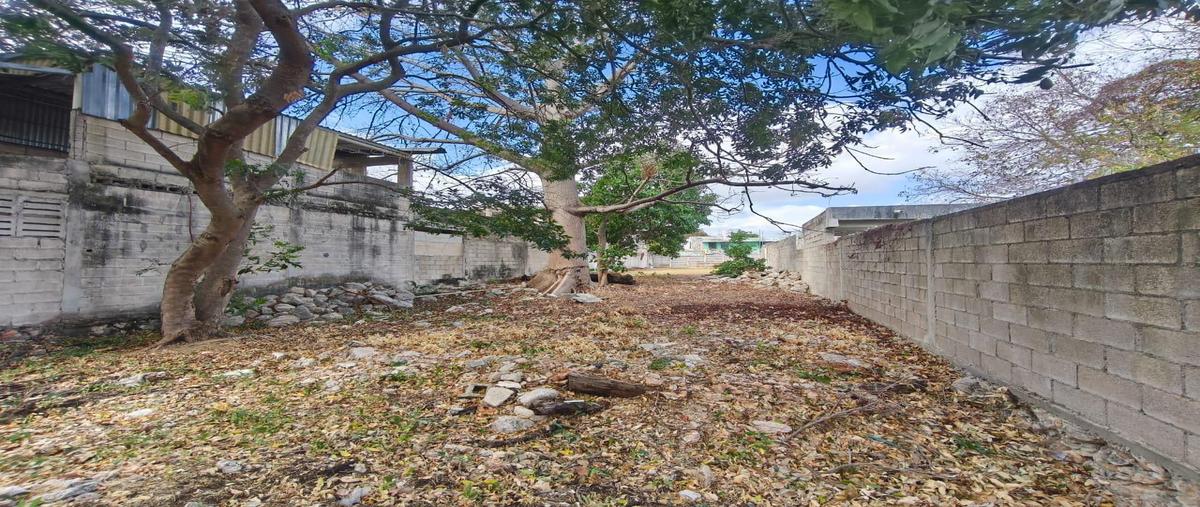 Foto de terreno habitacional en venta en  , merida centro, mérida, yucatán, 0 No. 05