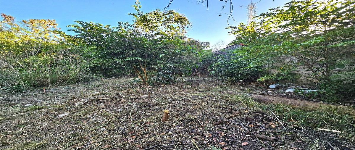 Foto de terreno habitacional en , merida centro, mérida, yucatán, 0 foto 01 Foto de terreno habitacional en venta en , merida centro, mérida, yucatán, 0 No. 01