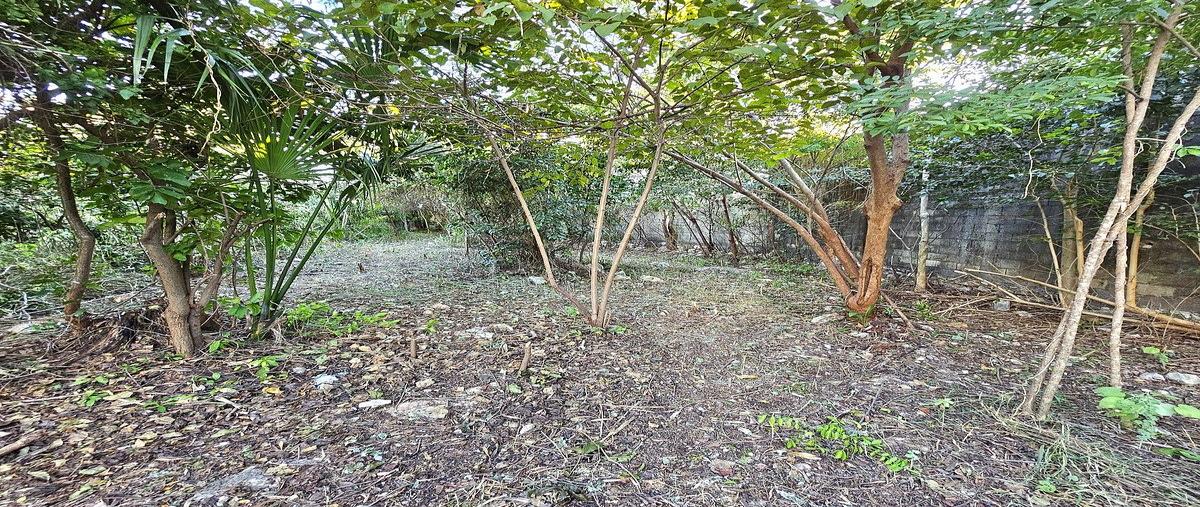 Foto de terreno habitacional en , merida centro, mérida, yucatán, 0 foto 03 Foto de terreno habitacional en venta en , merida centro, mérida, yucatán, 0 No. 03