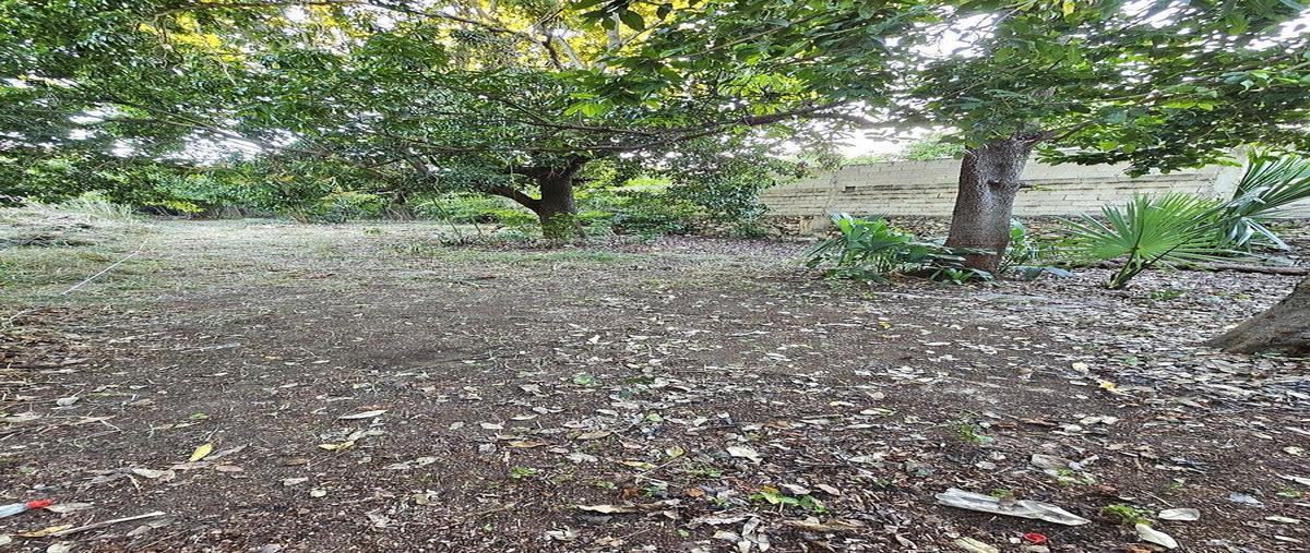 Foto de terreno habitacional en , merida centro, mérida, yucatán, 0 foto 04 Foto de terreno habitacional en venta en , merida centro, mérida, yucatán, 0 No. 04