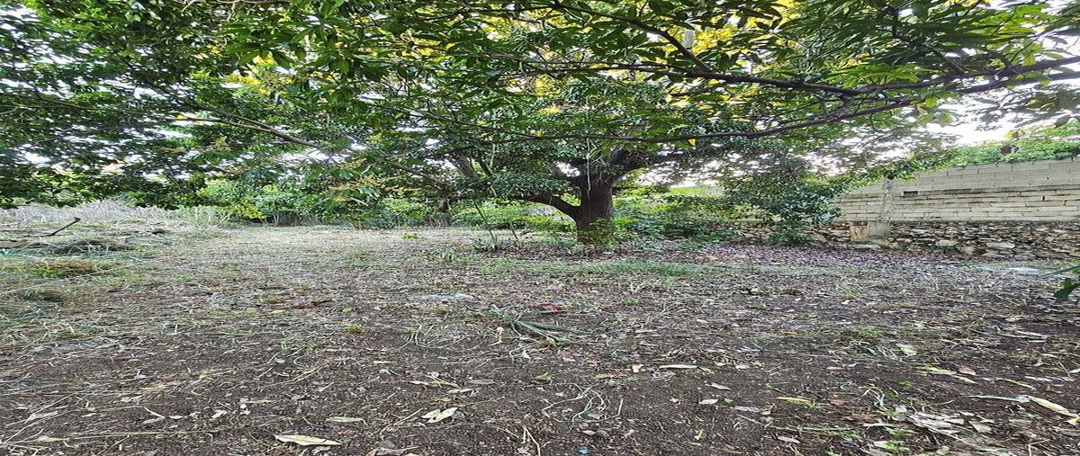 Foto de terreno habitacional en , merida centro, mérida, yucatán, 0 foto 05 Foto de terreno habitacional en venta en , merida centro, mérida, yucatán, 0 No. 05