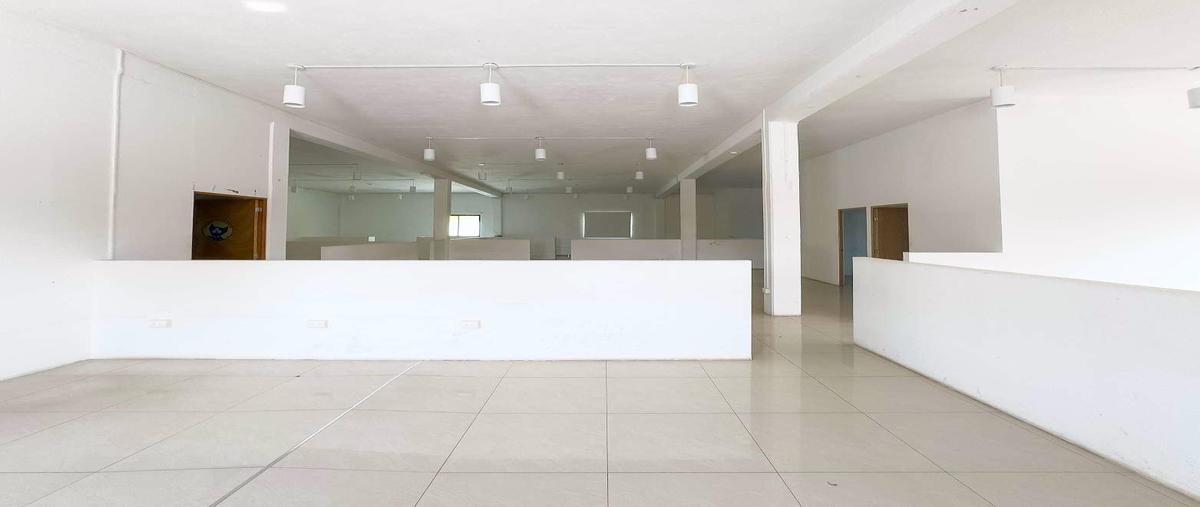 Foto de local en renta en  , merida centro, mérida, yucatán, 0 No. 04