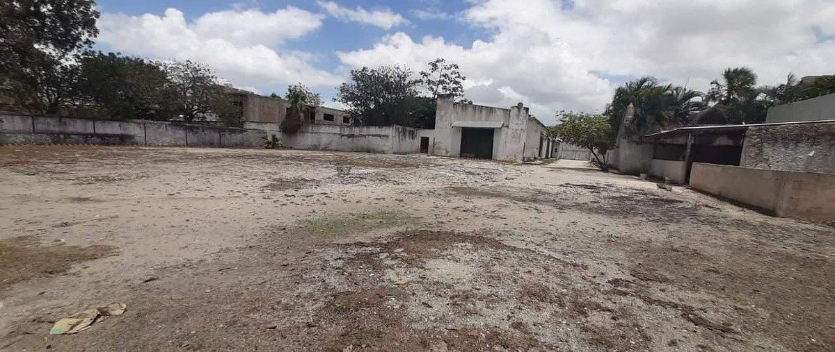 Foto de bodega en venta en  , merida centro, mérida, yucatán, 31082599 No. 05