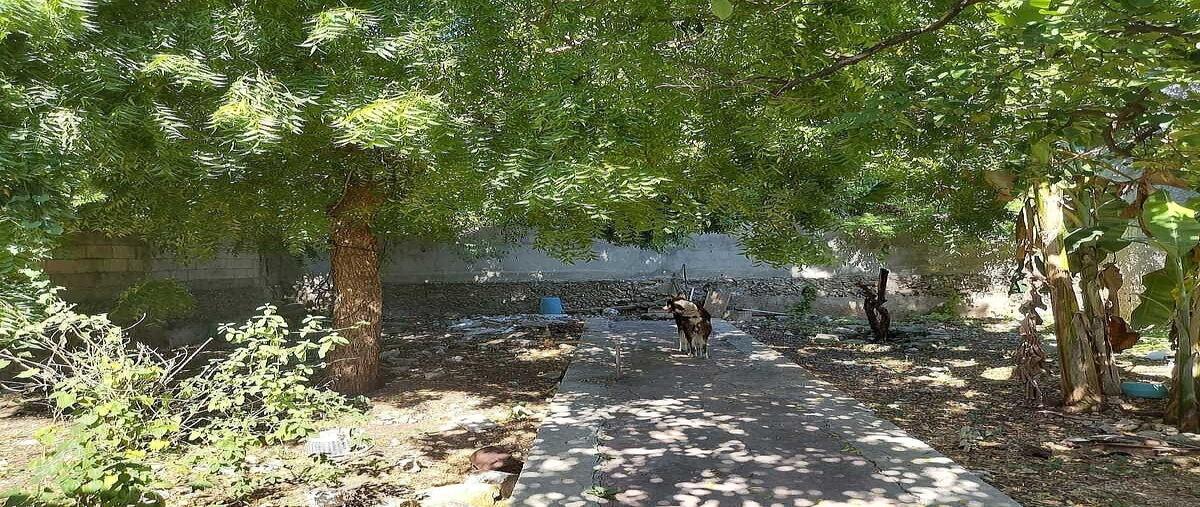 Foto de casa en venta en  , merida centro, mérida, yucatán, 0 No. 15