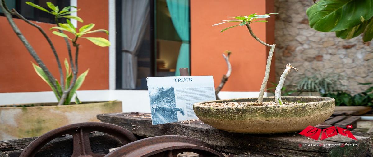 Foto de casa en venta en  , merida centro, mérida, yucatán, 0 No. 05