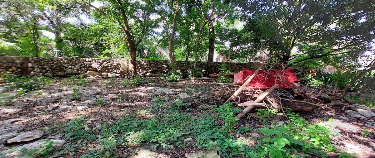 Foto de casa en venta en  , merida centro, mérida, yucatán, 31426738 No. 03