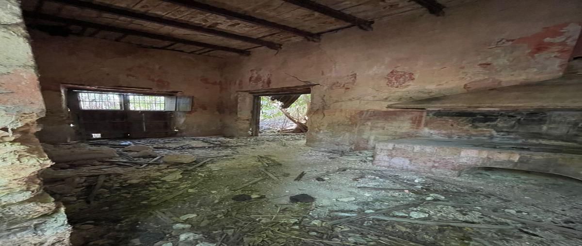 Foto de terreno habitacional en venta en mérida centro, mérida, yucatán , merida centro, mérida, yucatán, 26682267 No. 03