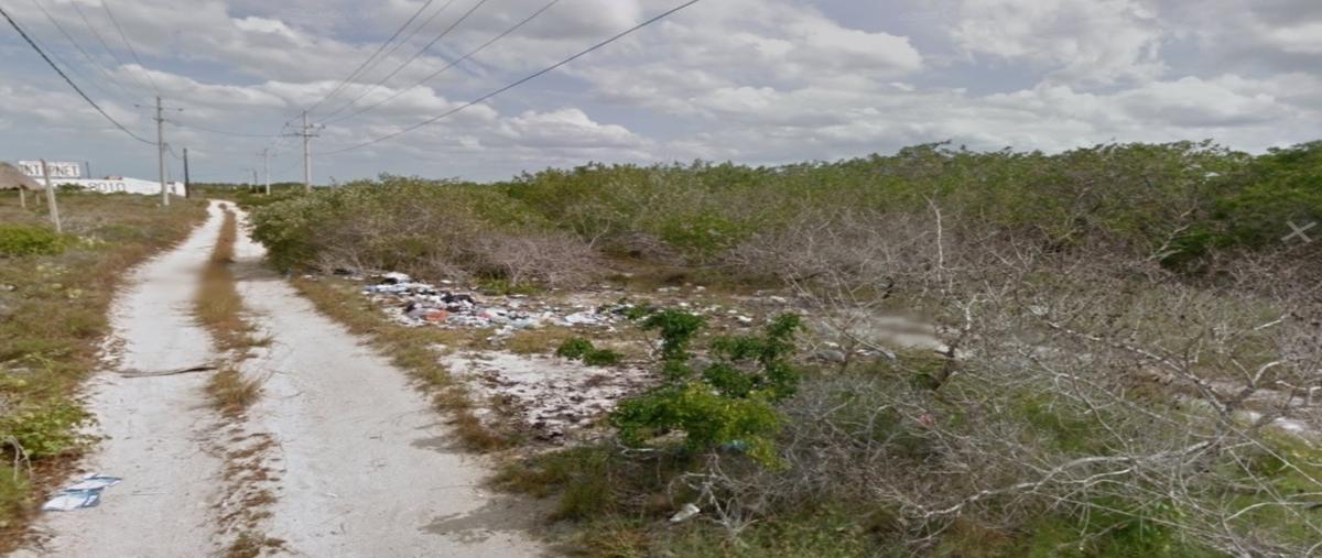 Foto de terreno habitacional en venta en merida , chicxulub puerto, progreso, yucatán, 29969541 No. 03