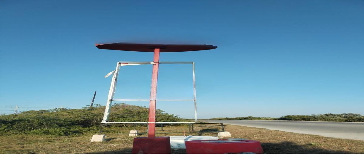 Foto de terreno habitacional en venta en merida , chicxulub puerto, progreso, yucatán, 29969541 No. 04