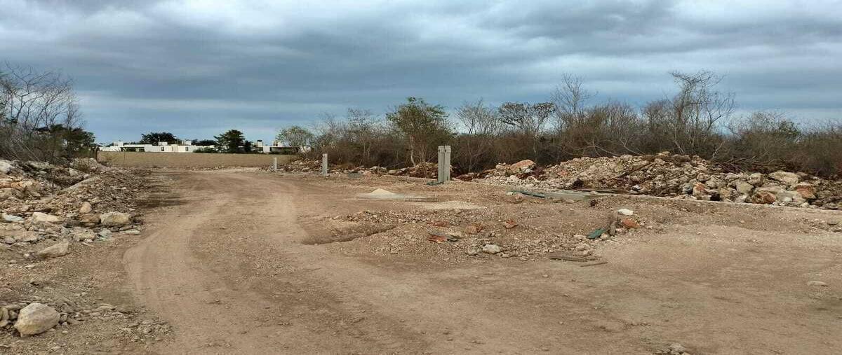 Foto de terreno habitacional en mérida , cholul, mérida, yucatán, 0 foto 04 Foto de terreno habitacional en venta en mérida , cholul, mérida, yucatán, 0 No. 04