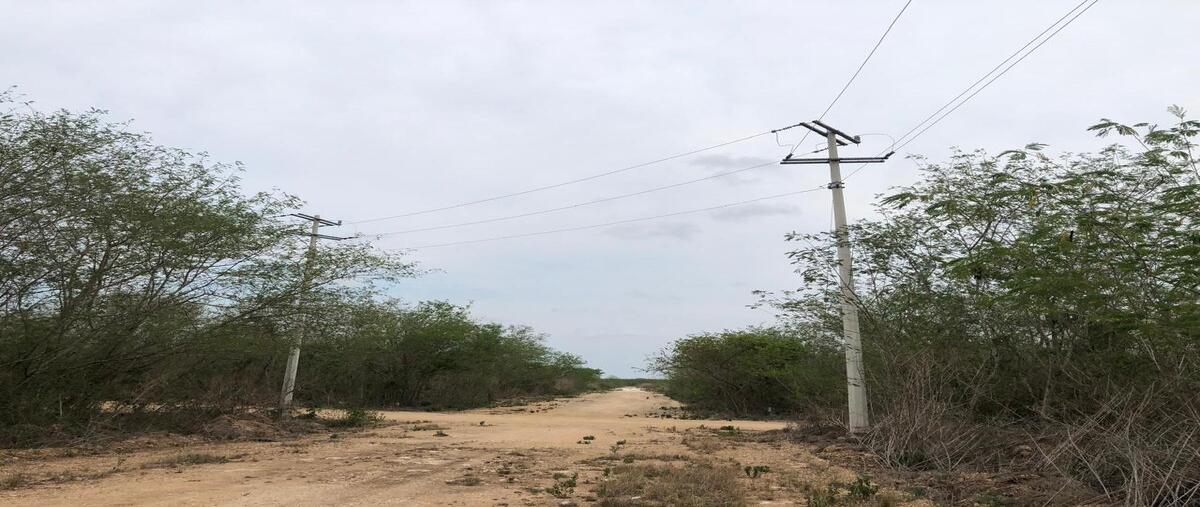 Foto de terreno habitacional en venta en merida , conkal, conkal, yucatán, 0 No. 03
