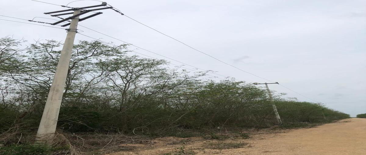 Foto de terreno habitacional en venta en merida , conkal, conkal, yucatán, 0 No. 05