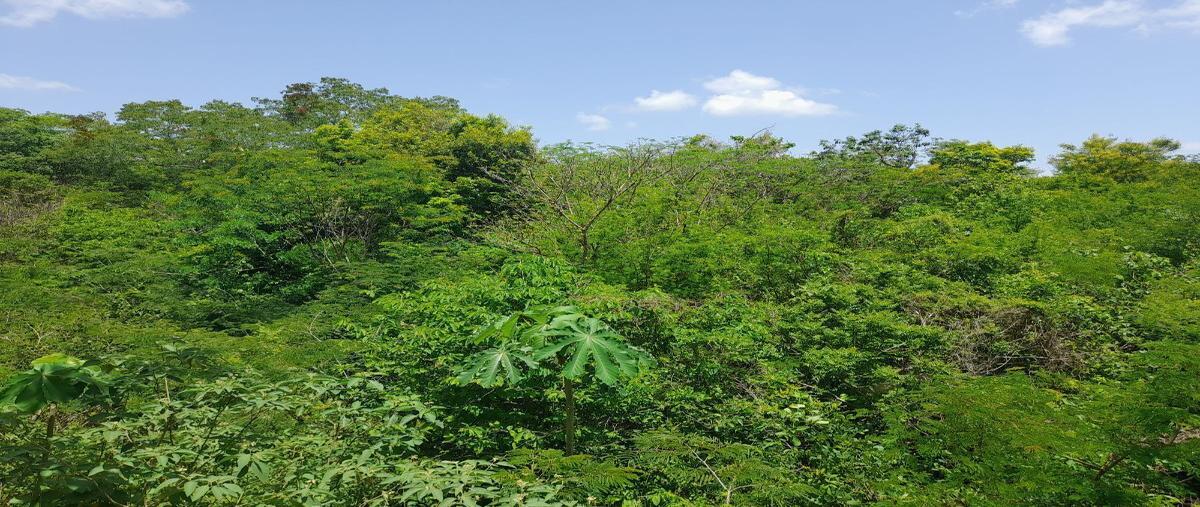 Foto de terreno habitacional en merida , corredor ganadero, tunkás, yucatán, 0 foto 04 Foto de terreno habitacional en venta en merida , corredor ganadero, tunkás, yucatán, 0 No. 04