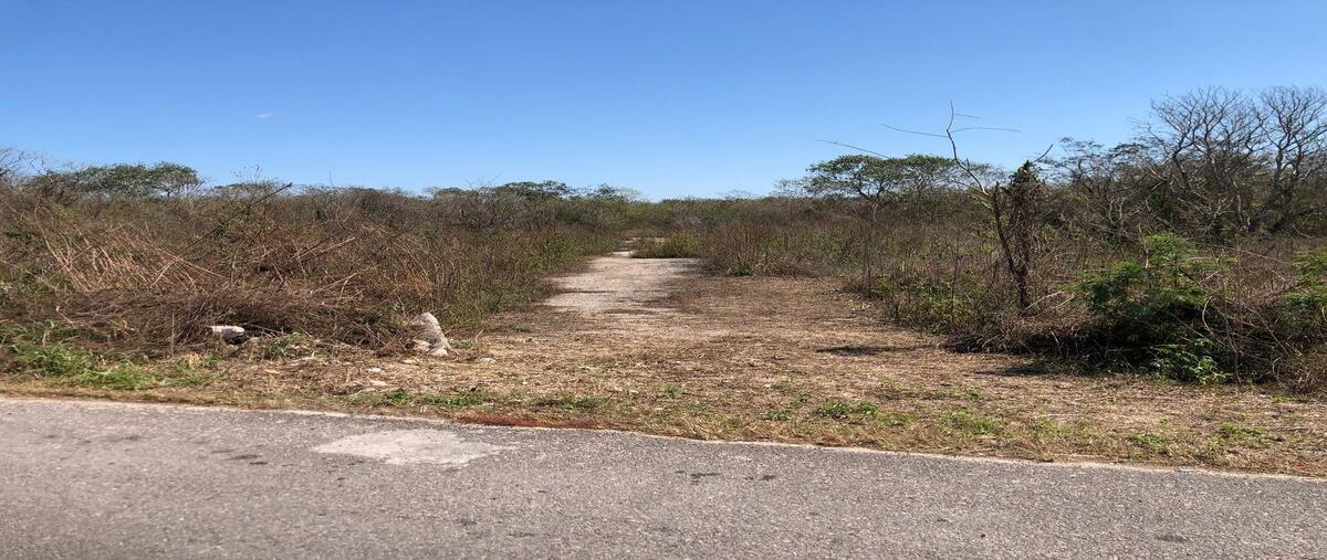 Foto de terreno habitacional en venta en merida , kantoina, conkal, yucatán, 0 No. 04