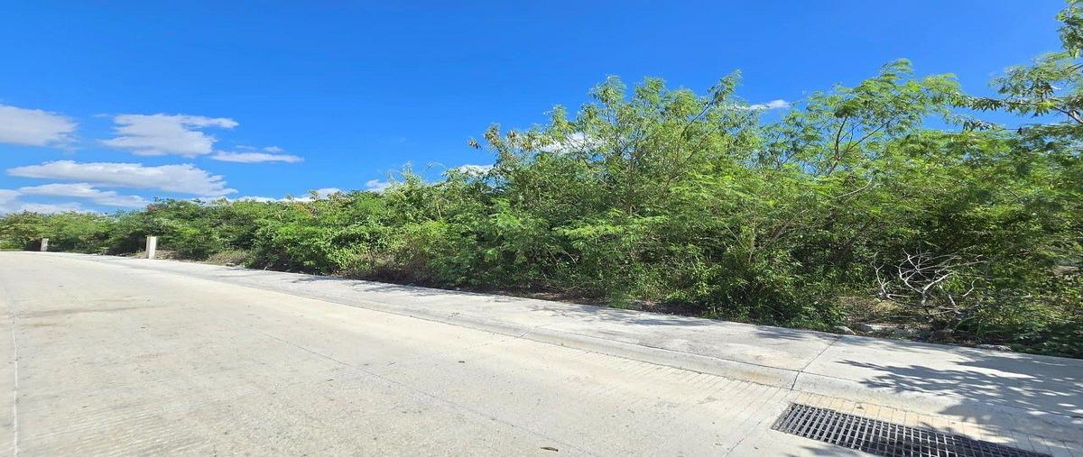 Foto de terreno habitacional en venta en merida , komchen, mérida, yucatán, 0 No. 05