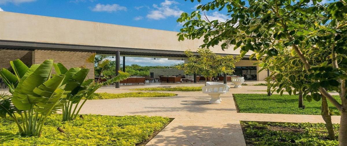 Foto de terreno habitacional en venta en merida , komchen, mérida, yucatán, 0 No. 05