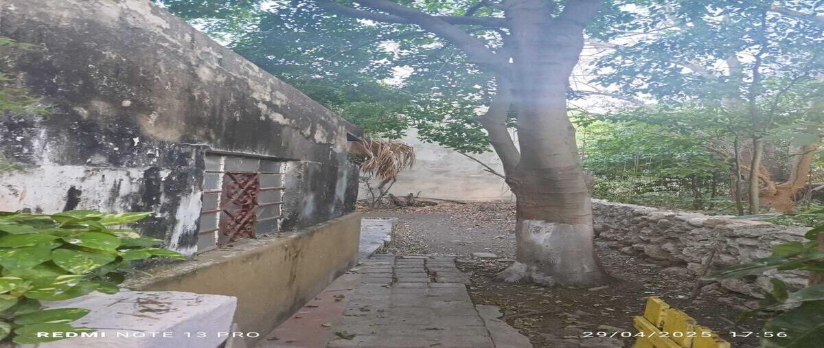 Foto de casa en venta en mérida , merida centro, mérida, yucatán, 0 No. 03