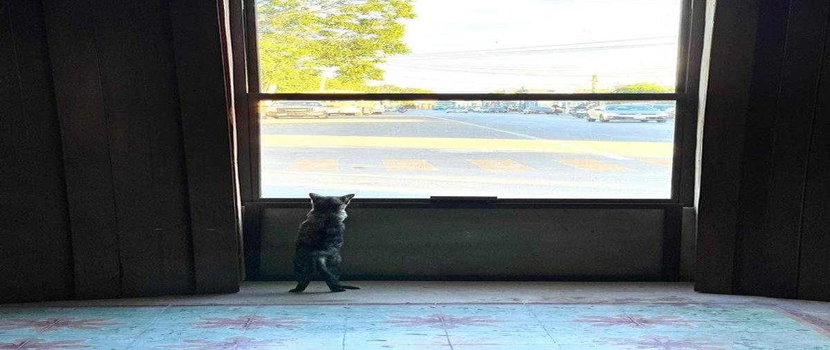 Foto de casa en venta en merida , merida centro, mérida, yucatán, 30999162 No. 04