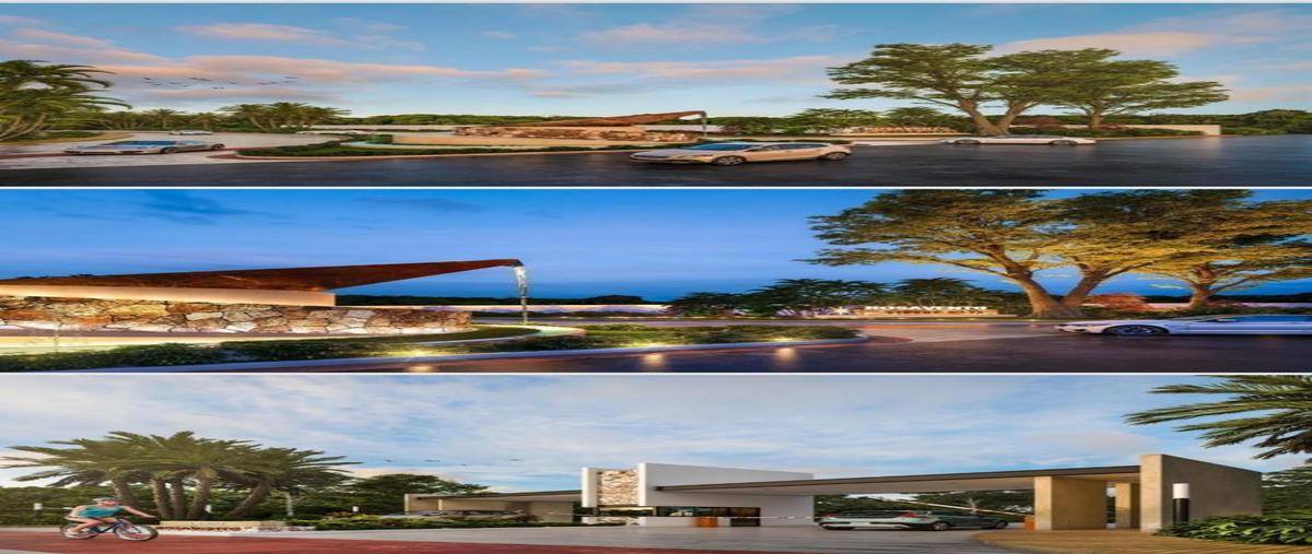 Foto de terreno habitacional en venta en  , mérida, mérida, yucatán, 0 No. 01