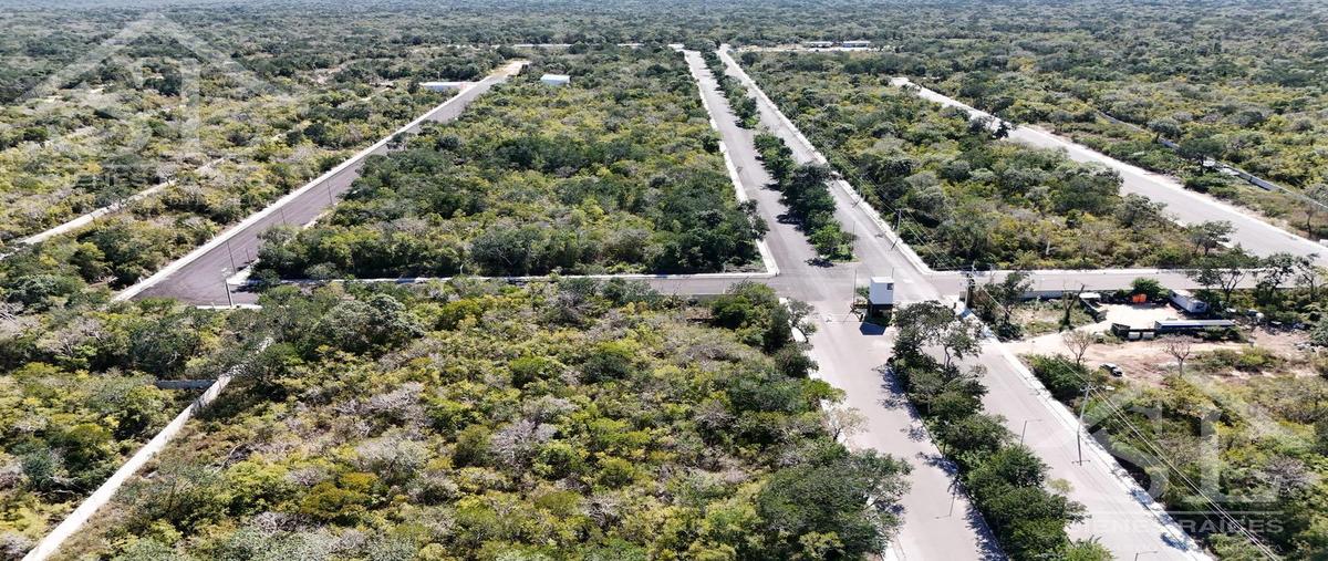 Foto de terreno habitacional en venta en  , mérida, mérida, yucatán, 21195401 No. 05