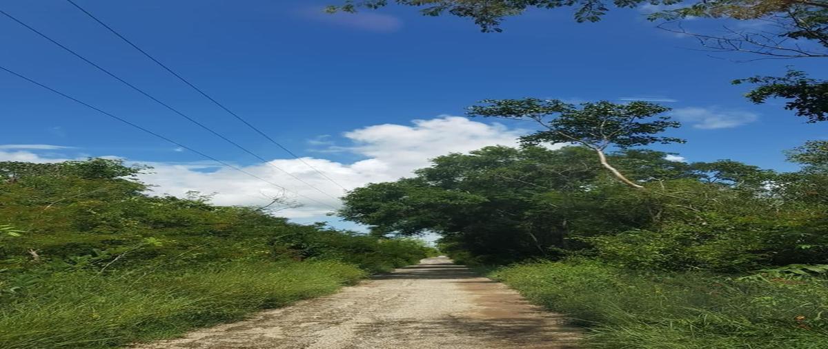 Foto de terreno habitacional en venta en  , mérida, mérida, yucatán, 26545664 No. 03