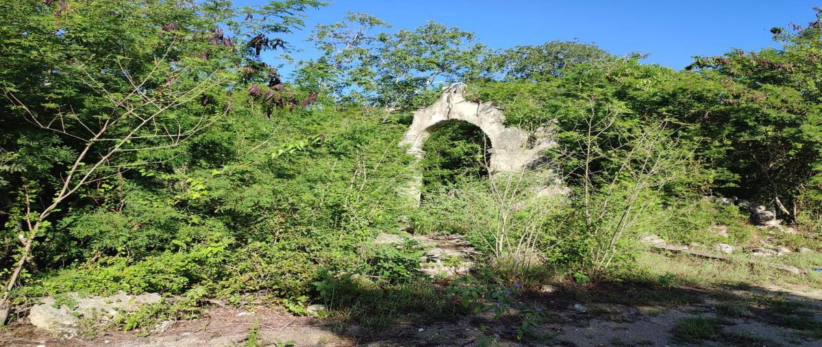 Foto de terreno habitacional en , mérida, mérida, yucatán, 0 foto 03 Foto de terreno habitacional en venta en , mérida, mérida, yucatán, 0 No. 03