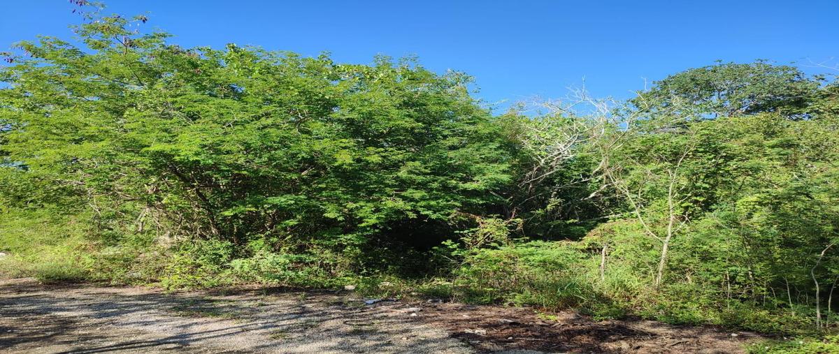Foto de terreno habitacional en , mérida, mérida, yucatán, 0 foto 04 Foto de terreno habitacional en venta en , mérida, mérida, yucatán, 0 No. 04