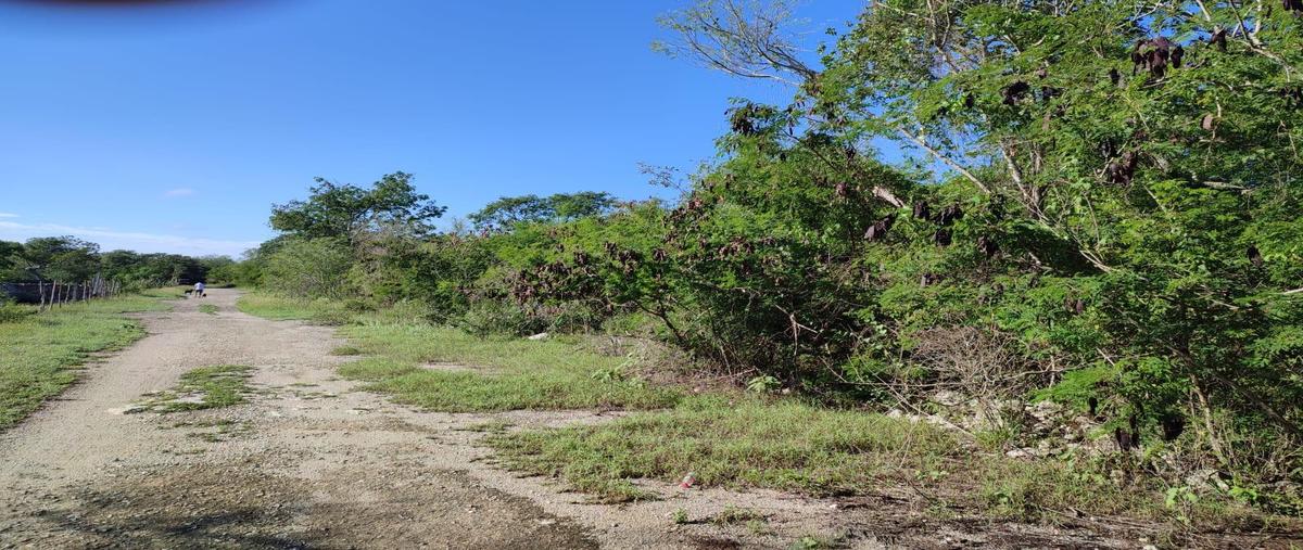 Foto de terreno habitacional en , mérida, mérida, yucatán, 0 foto 05 Foto de terreno habitacional en venta en , mérida, mérida, yucatán, 0 No. 05