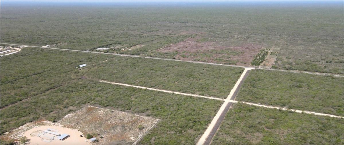 Foto de terreno industrial en venta en  , mérida, mérida, yucatán, 27685672 No. 04