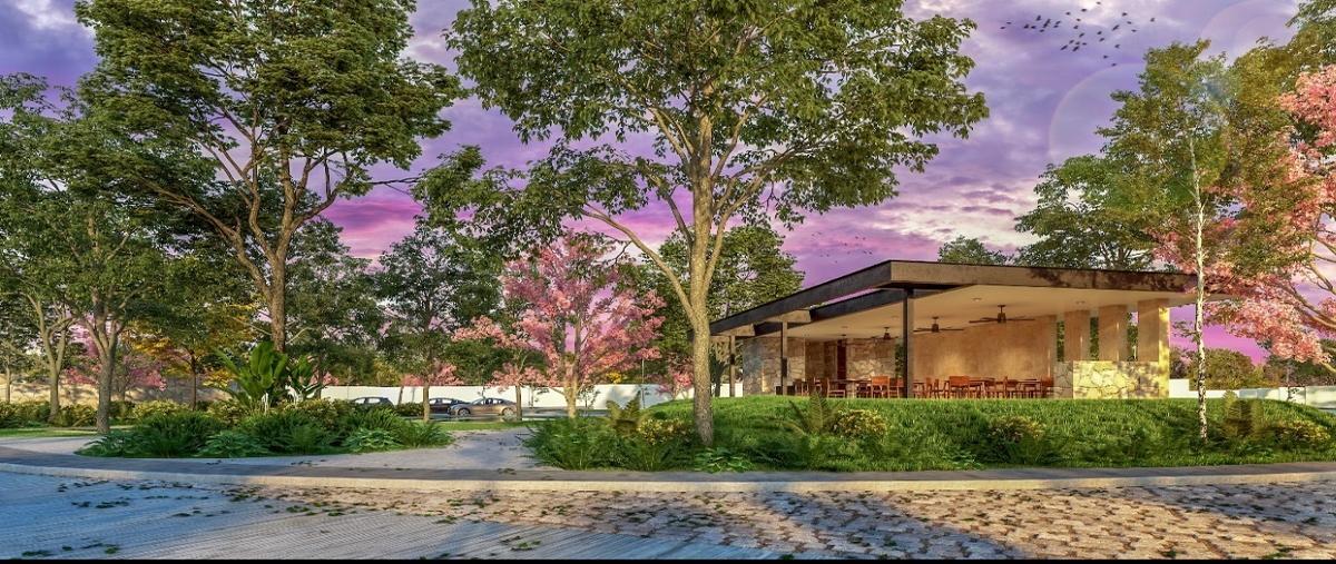 Foto de terreno habitacional en venta en  , mérida, mérida, yucatán, 27685727 No. 03