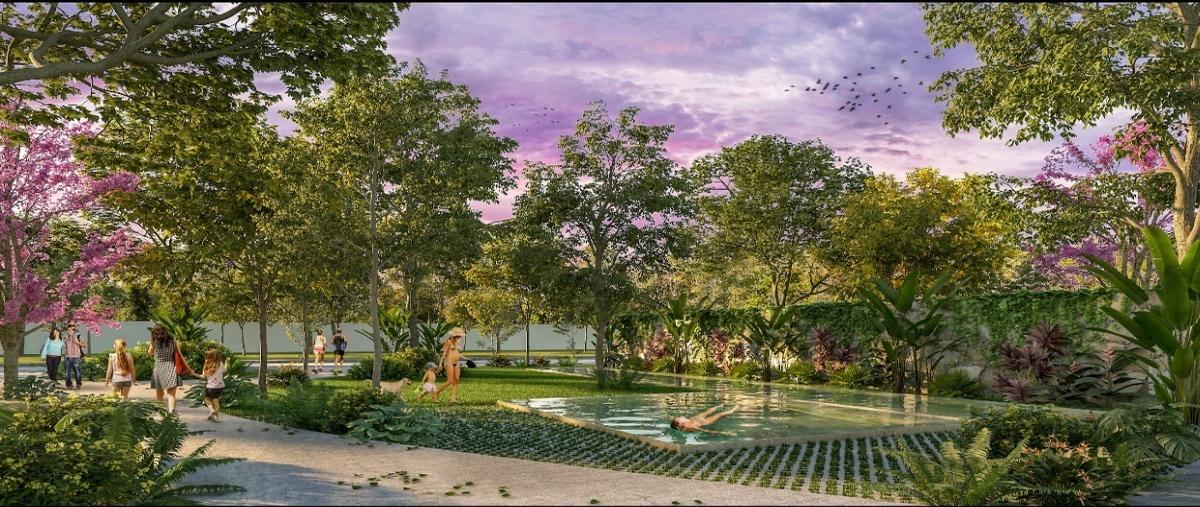 Foto de terreno habitacional en venta en  , mérida, mérida, yucatán, 27685727 No. 05