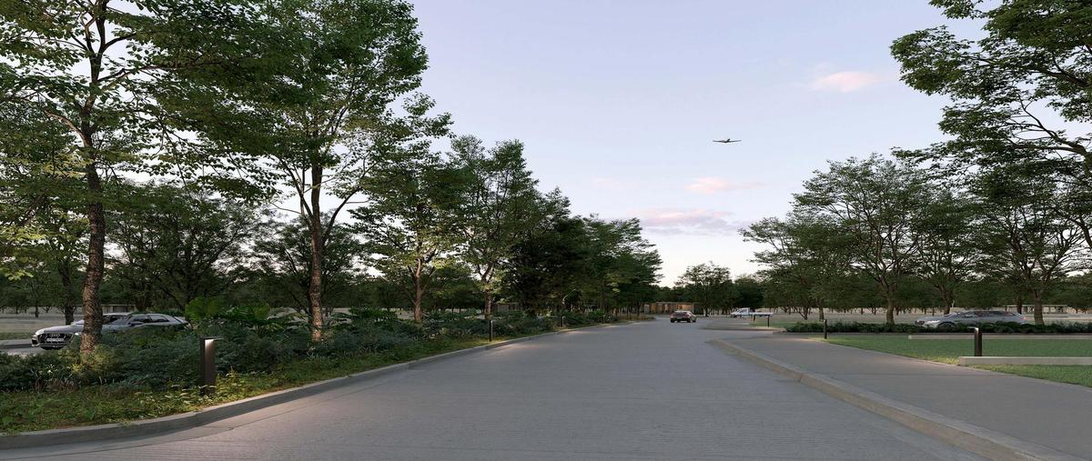 Foto de terreno habitacional en venta en  , mérida, mérida, yucatán, 27743684 No. 03